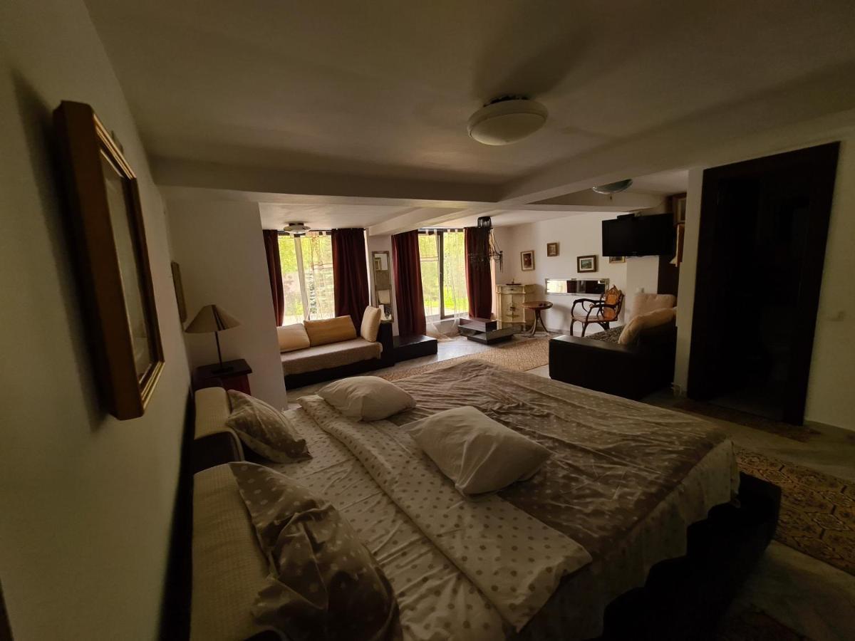Casa Poveste Pensiunea-muzeu Pensión 4*